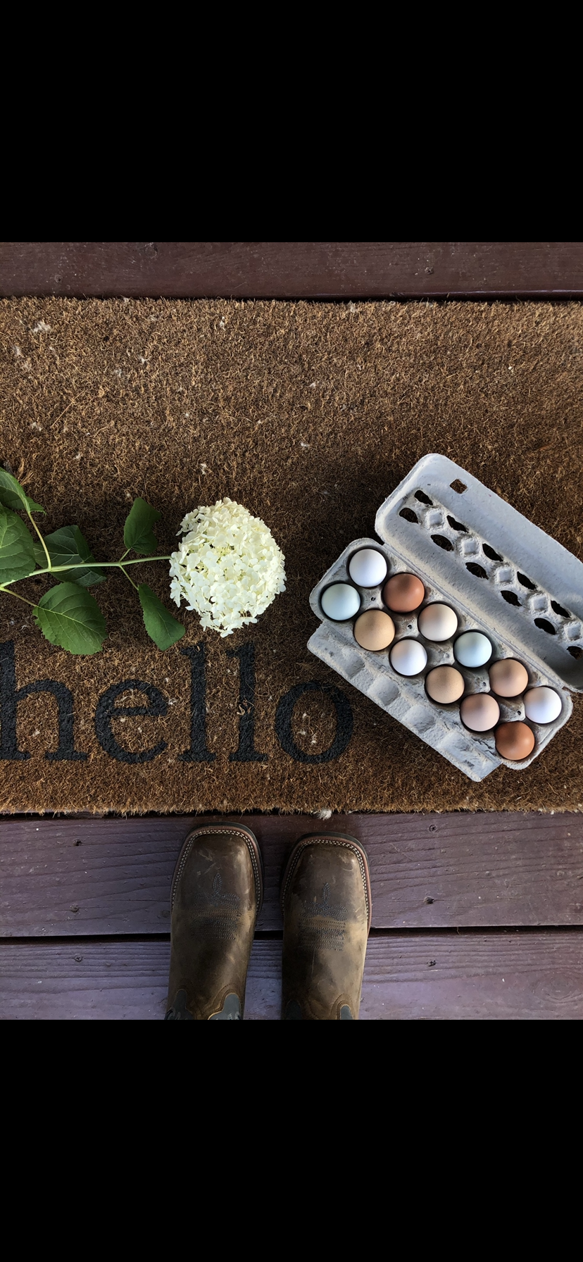 Fresh farm eggs in a carton featuring various colors, including brown, white, and cream, resting on a rustic wooden surface. Ideal for cooking and baking.